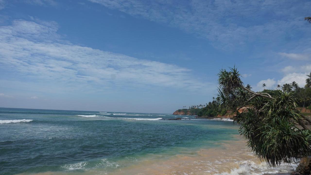 Отель The Reef Велигама Экстерьер фото